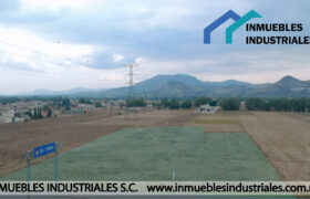 TERRENO EN ACOLMAN CENTRO VENTA 8,500m² $2,800 m²