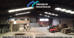 BODEGAS EN RENTA RUSTICA XALOSTOC  1,250m²