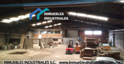 BODEGAS EN RENTA RUSTICA XALOSTOC  1,250m²