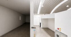 BODEGA EN SANTA CLARA ECATEPEC EN RENTA 867m2